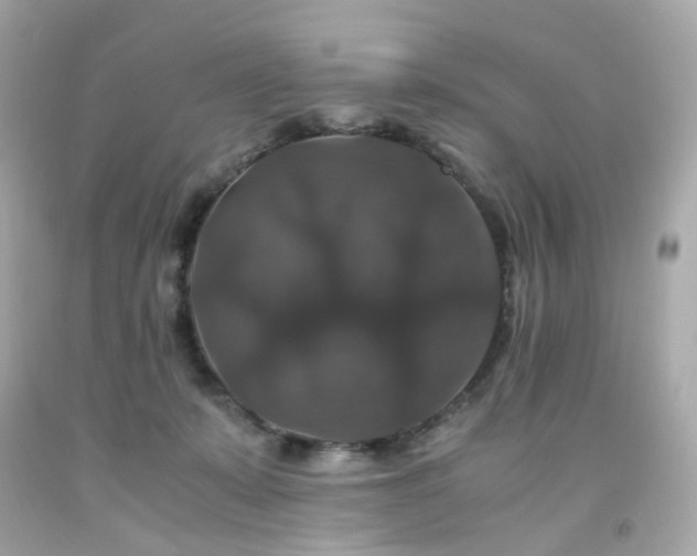 X0000091940319200709121624