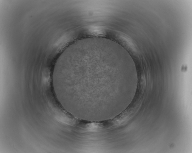 X0000091940320200709121624