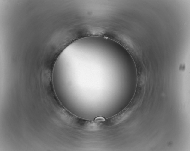 X0000091940321200709121624