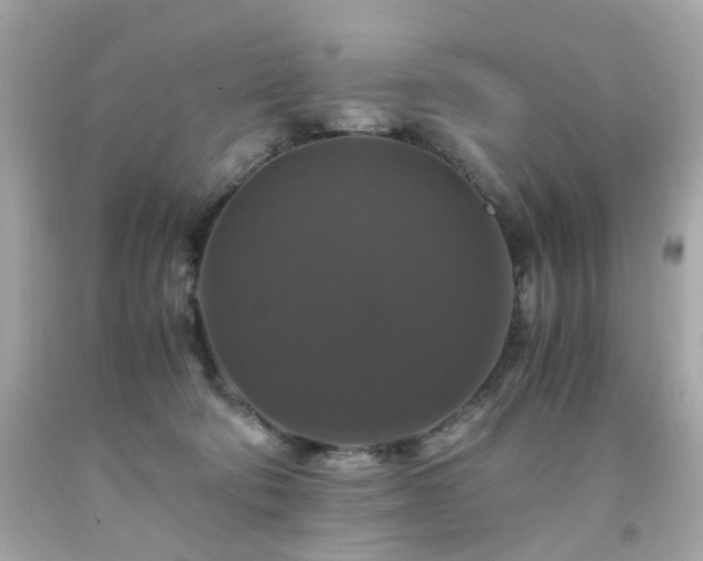 X0000091940322200709121624