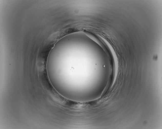 X0000091940323200709121624