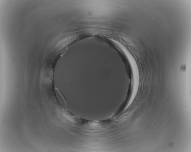 X0000091940325200709121624