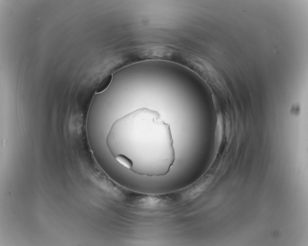 X0000091940326200709121624