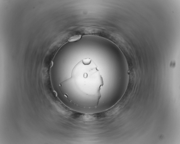 X0000091940327200709121624