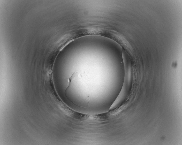 X0000091940329200709121624