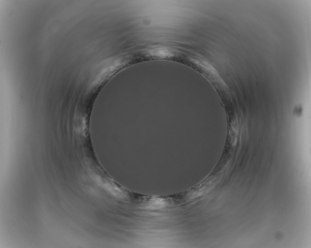 X0000091940330200709121624