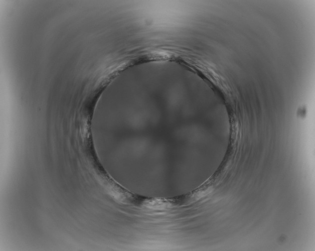 X0000091940331200709121624