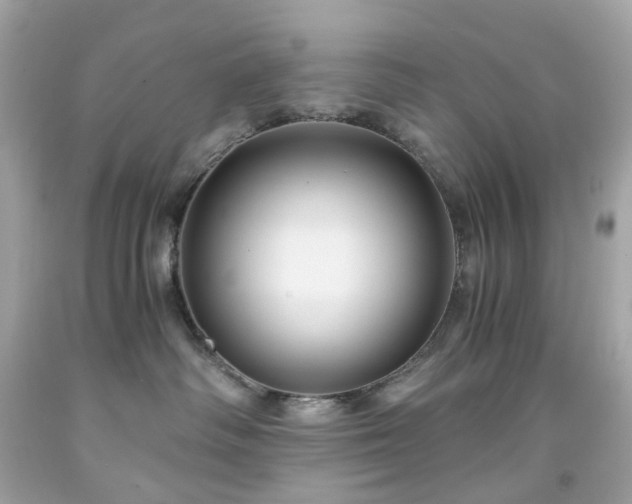 X0000091940334200709121624