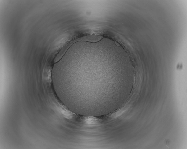 X0000091940336200709121624