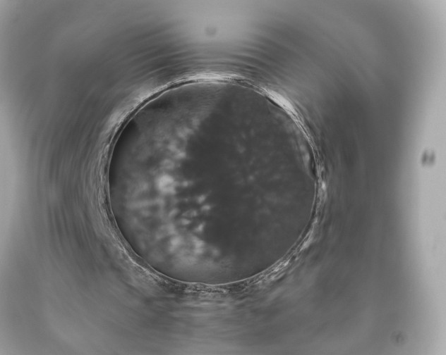 X0000091940337200709121623