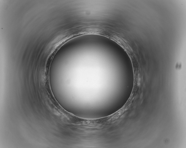 X0000091940338200709121623