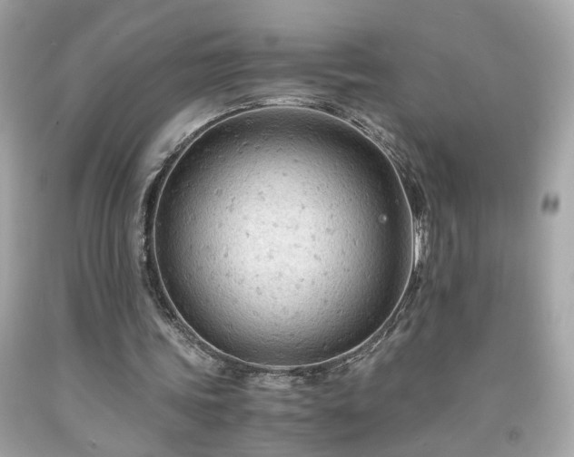 X0000091940339200709121623