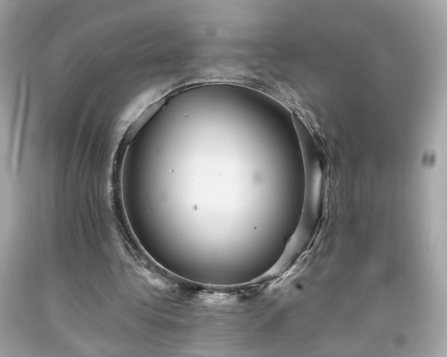 X0000091940340200709121623