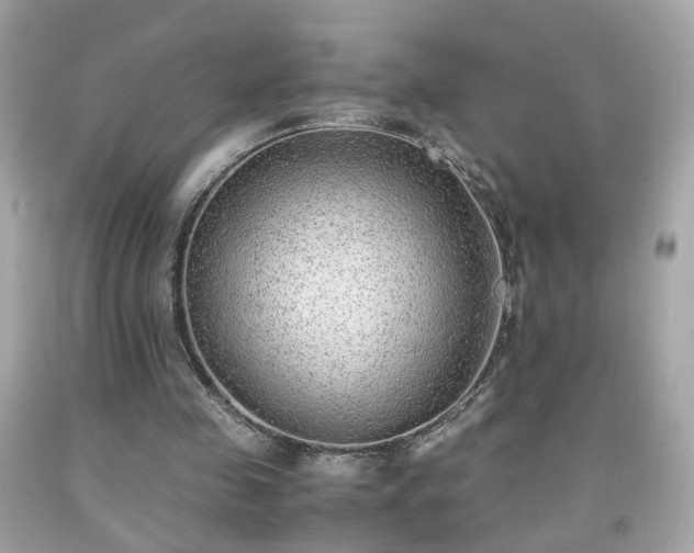 X0000091940341200709121623