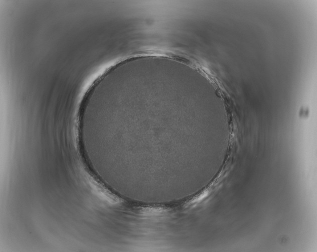 X0000091940342200709121623