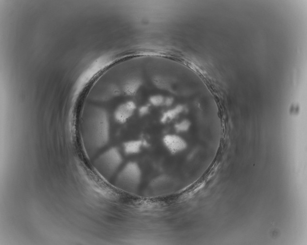 X0000091940343200709121623