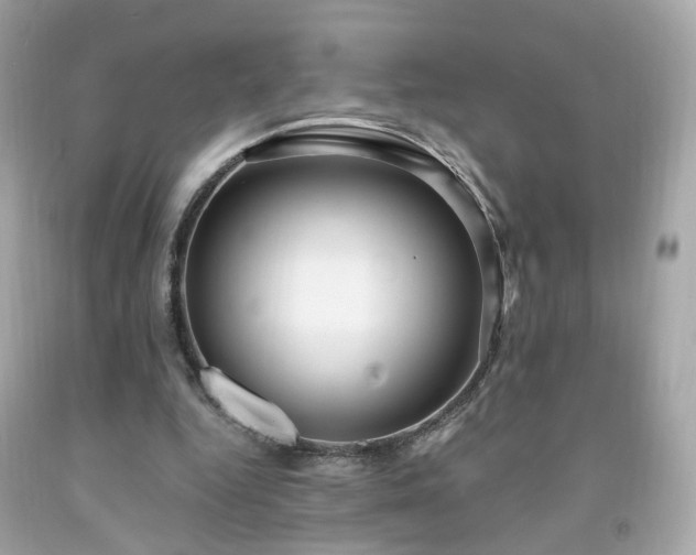 X0000091940344200709121623