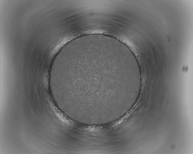 X0000091940345200709121623