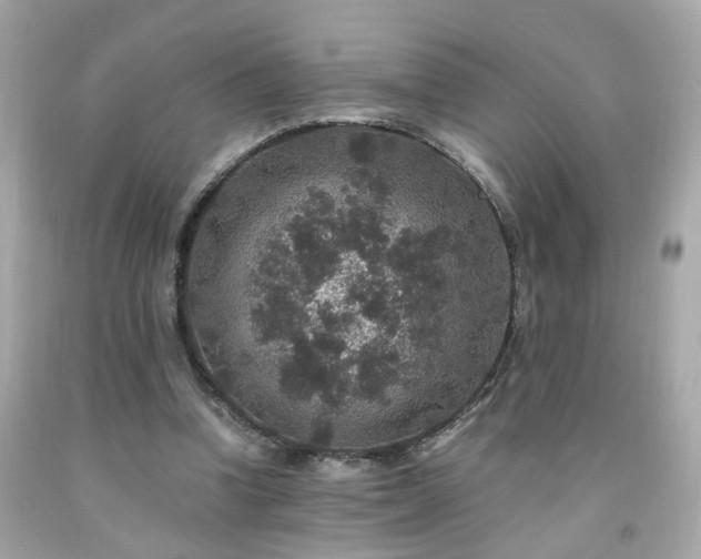 X0000091940346200709121623