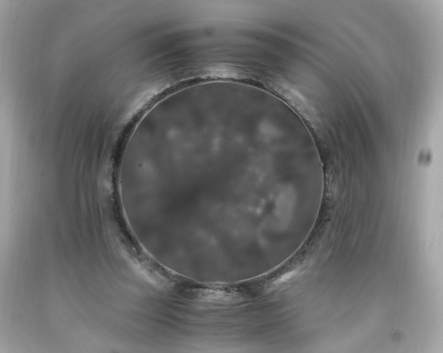 X0000091940347200709121623