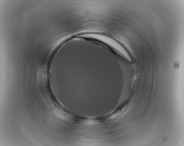 X0000091940348200709121623