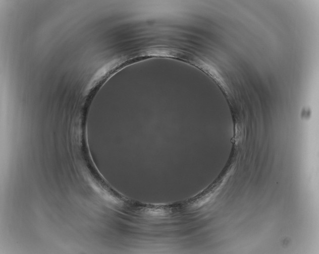 X0000091940349200709121623