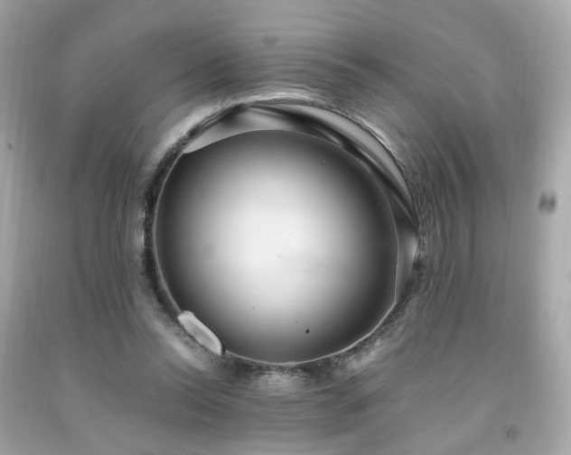 X0000091940350200709121623