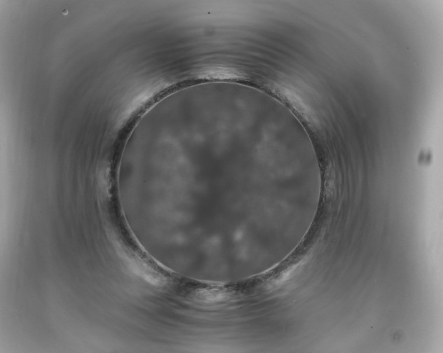 X0000091940351200709121623