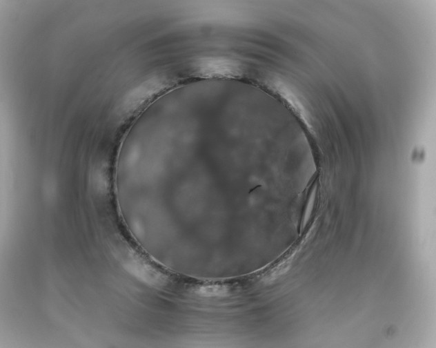 X0000091940353200709121623