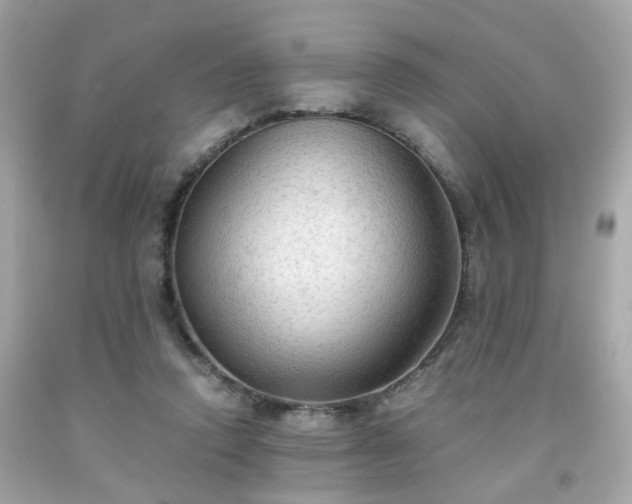 X0000091940354200709121623