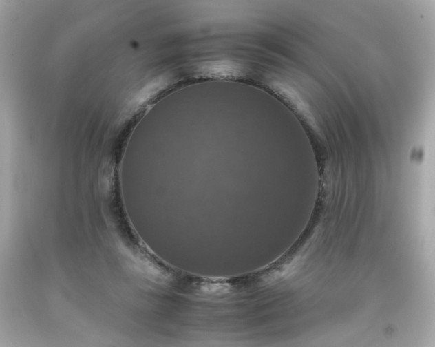 X0000091940355200709121623