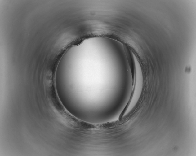 X0000091940356200709121623