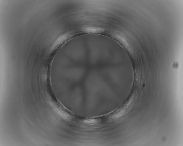 X0000091940357200709121623