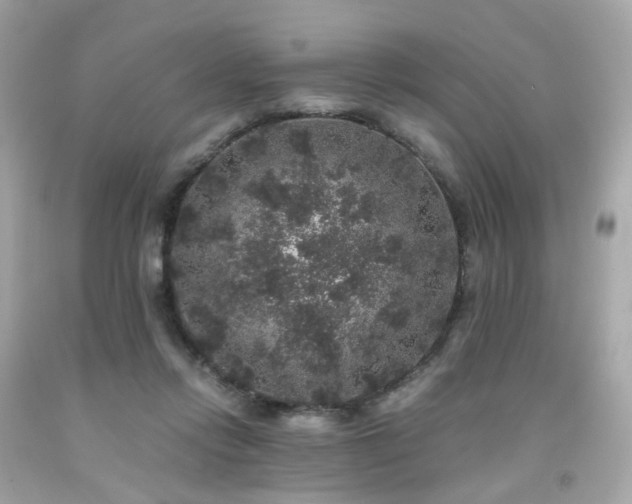 X0000091940358200709121624