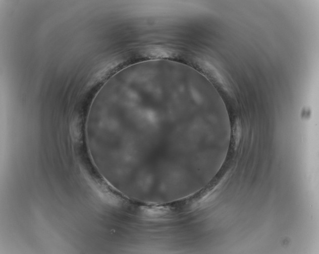 X0000091940359200709121624