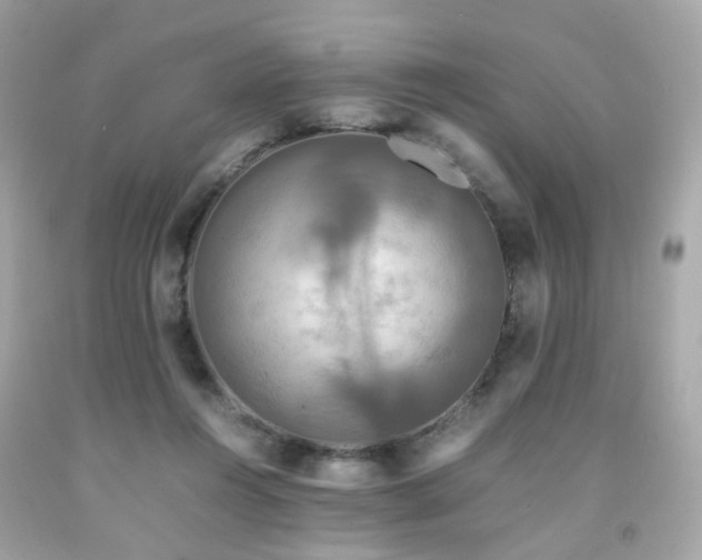 X0000091940360200709121624