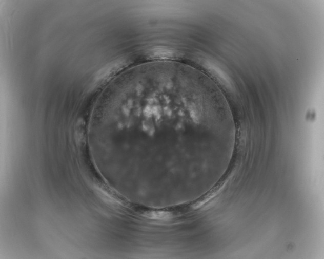 X0000091940361200709121624