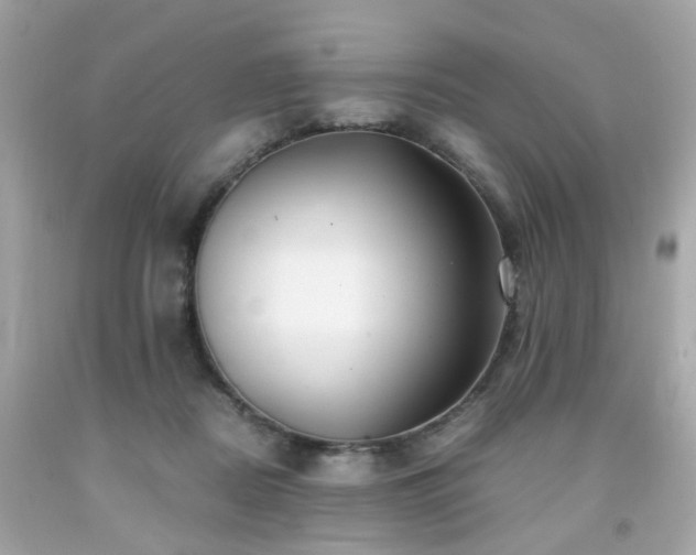 X0000091940362200709121624