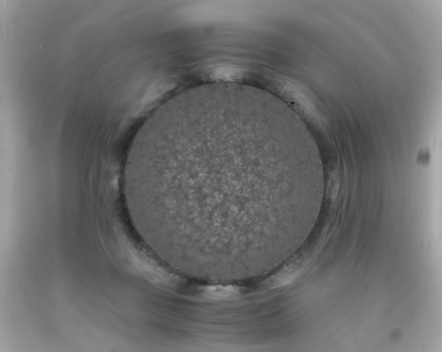 X0000091940363200709121624