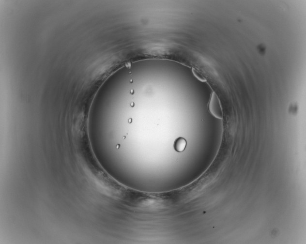 X0000091940364200709121624