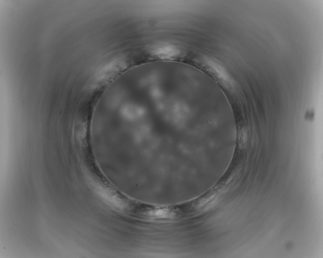 X0000091940365200709121624