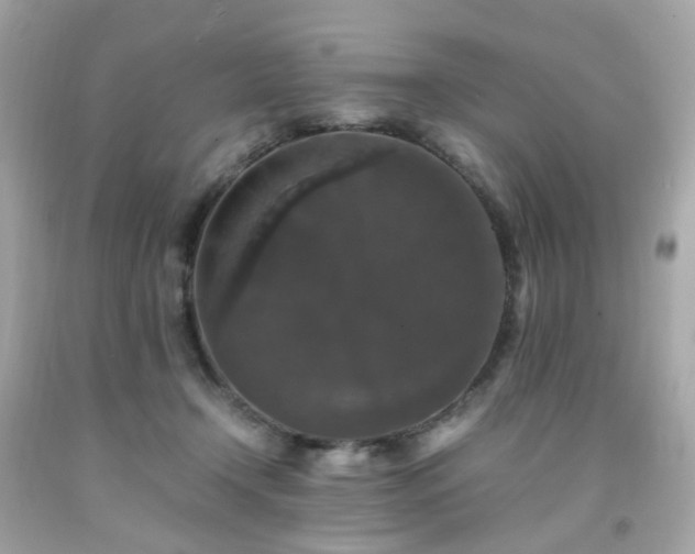 X0000091940366200709121624