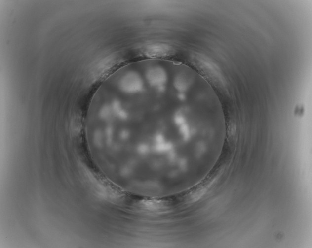 X0000091940367200709121624