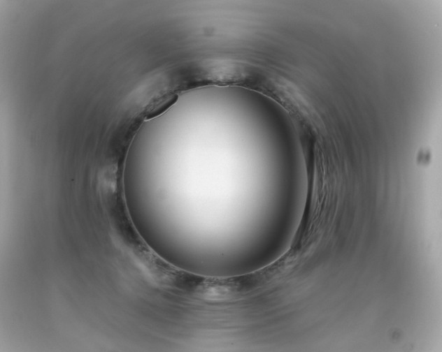 X0000091940368200709121624