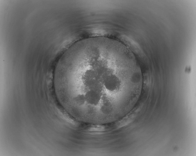 X0000091940369200709121624