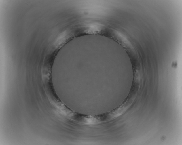 X0000091940370200709121624