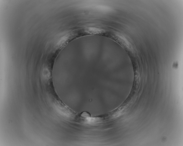 X0000091940371200709121624