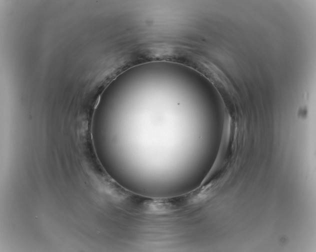 X0000091940372200709121624