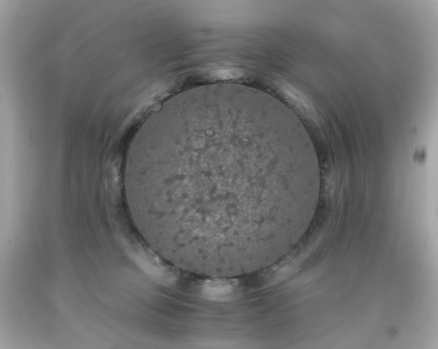 X0000091940373200709121624