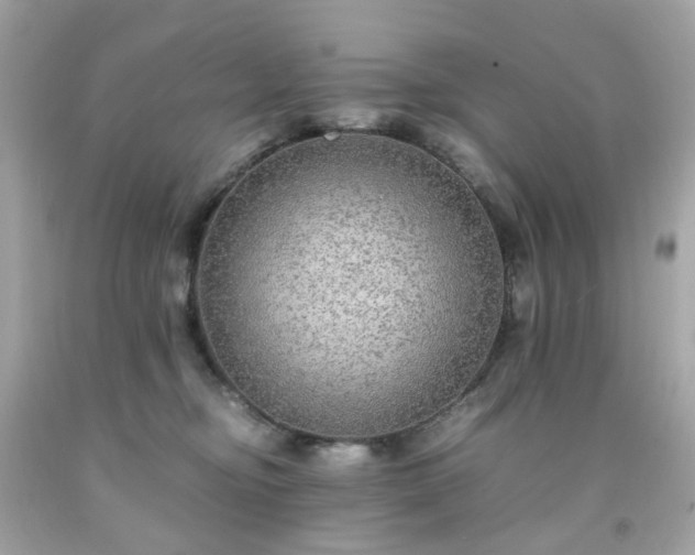 X0000091940374200709121624